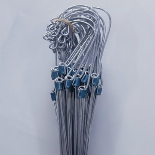 10 Móc kẽm treo Chậu Hoa Lan (60cm)