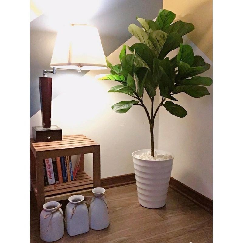Cây Giả 🌳 Cây Bàng Singapore Giả Kèm Chậu Phủ Sẵn Rêu 3 Nhánh Lá To Trang Trí Không Gian Sống
