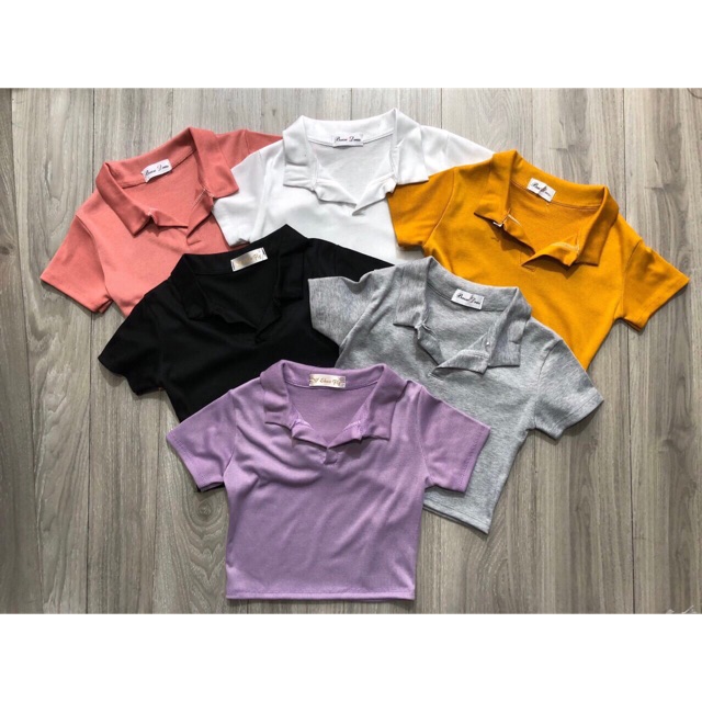 Polo croptop trơn cổ bẻ - ảnh thật