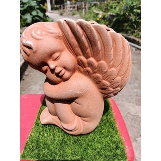 Chậu Thiên thần ngủ say