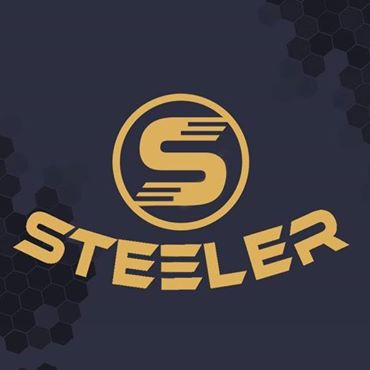Steeler Shoes