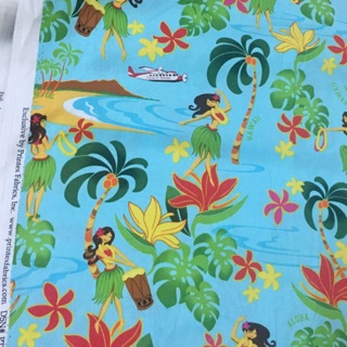 Vải Thô Kiện Hàn 100% Cotton