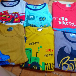 Combo 5 borip + 2 cotton xuat han