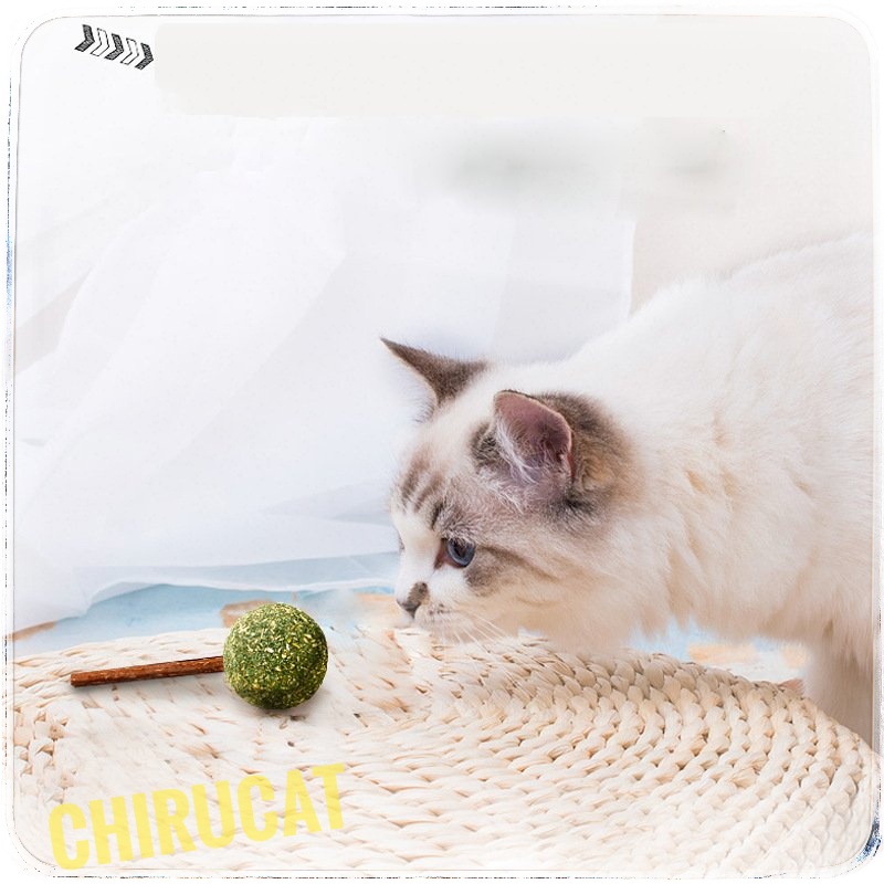 Cỏ Bạc Hà CatNip Masti Viên Nén Dạng Kẹo Mút Liếm Bài Trừ Búi Lông Cho Mèo