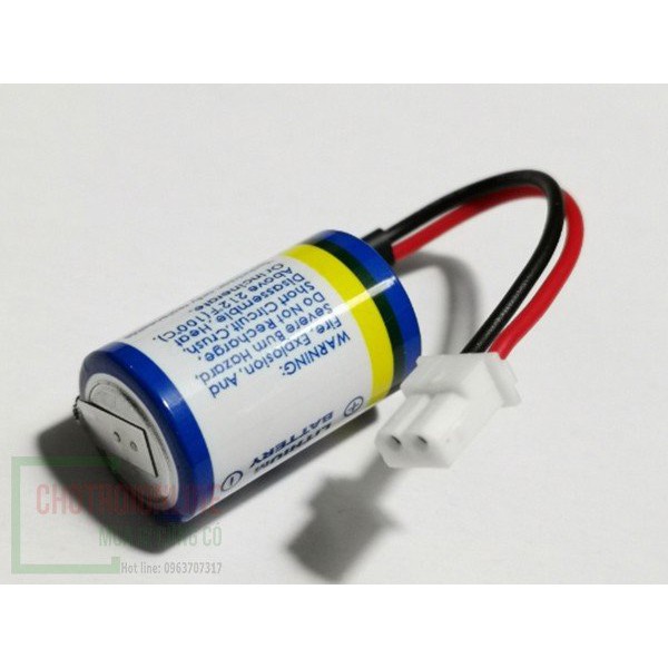 Pin KTS ER14250 3.6V 1/2 AA Pin PLC Delta