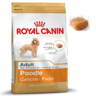 [Túi 500g] Thức ăn hạt ROYAL CANIN POODLE ADULT dành cho Poodle trưởng thành