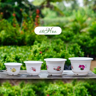 Chậu Bốn Mùa in hoa (size nhỏ và vừa)