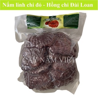Nấm linh chi đỏ giống nấm đài loan 500g - cây nấm việt