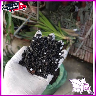 Vỏ Lạc Hun ⚜️FREESHIP⚜️ Cung Cấp Nitơ Cho Cấy - Giá Thể Trồng Lan Cực Tốt [ 1KG ]