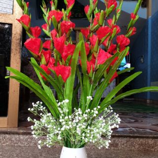 Hoa lay ơn 10 cành 1 bó