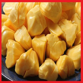 Cây giống mít siêu dài Malaysia