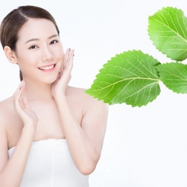 Bột Lá Dâu Nguyên Chất 100g