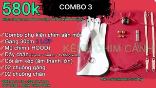  BỘ PHỤ KIỆN CHIM SĂN