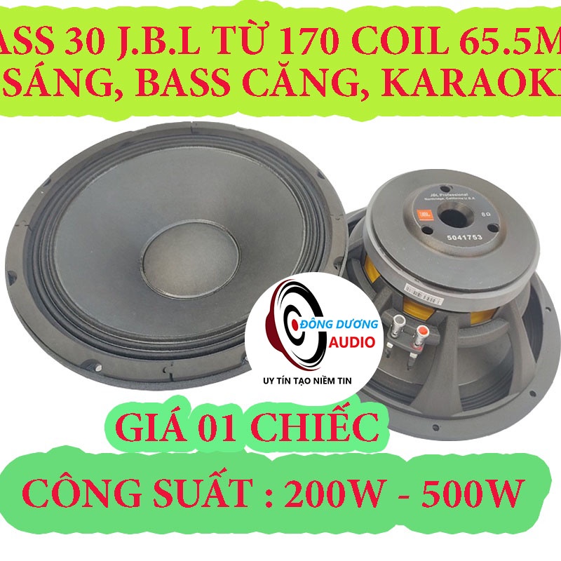 CỦ LOA KAROAKE 30 JB L TỪ 170 COIL 65,5MM - GIÁ 01 CÁI ( 1227) - LOA BASS 3 TẤC