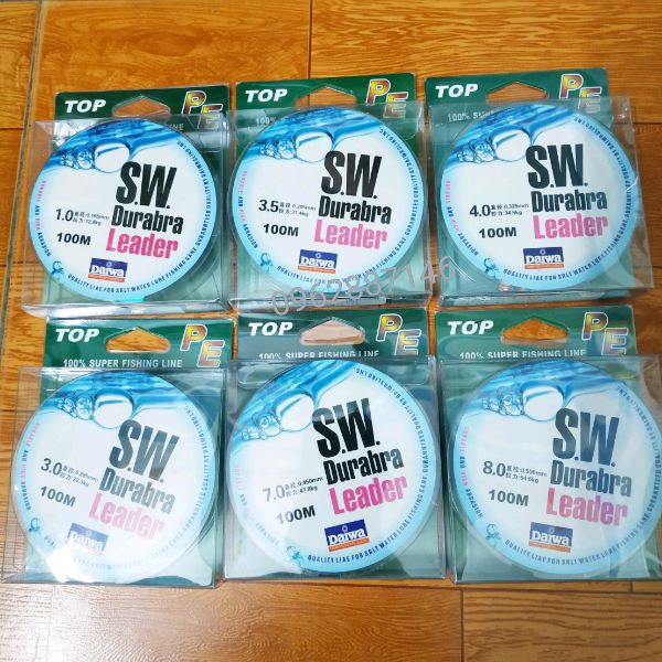 Dù câu DAIWA SW D_Leader 100m hàng hót y hình