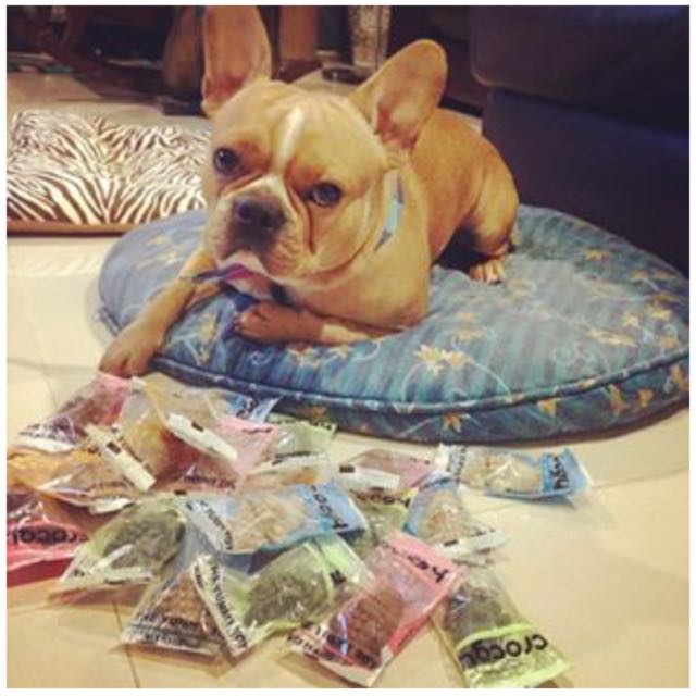 Snack gặm sạch răng hình cá sấu Crocgy 18g / 63g