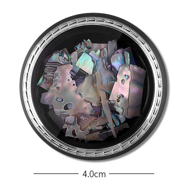 [Hàng mới về] Hộp đá vỏ sò tự nhiên trang trí móng tay