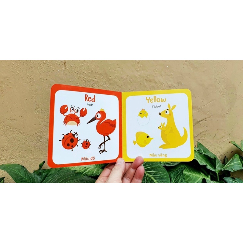 Bộ Thẻ bìa cứng thư viện hình ảnh đầu tiên cho bé nhận biết thế giới xung quanh MY FIRST PICTURE BOOK