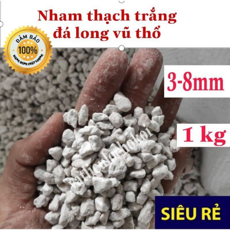 Nham thạch trắng pumice turkey 3-8mm loại mini 1kg