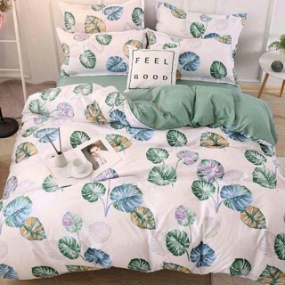 Set drap + 2 vỏ gối đầu và 1 vỏ ôm