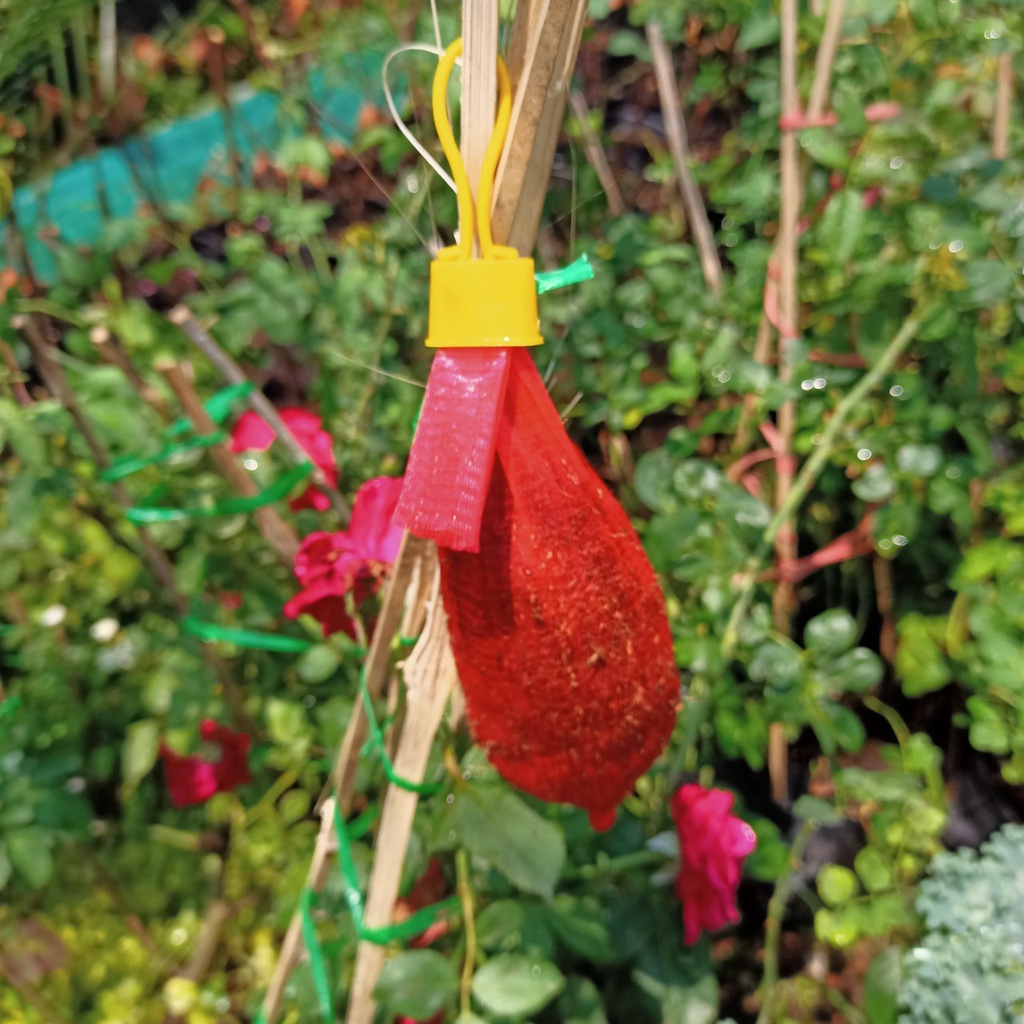 Túi đựng sẵn thuốclào tiện dụng đuổi bọ trĩ, sâu rệp cho nhà vườn - Trang Flowers