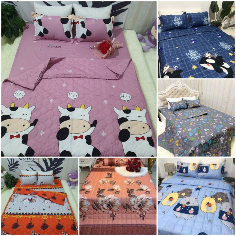 Chọn mẫu chăn hè trần bông hai mặt cotton poly