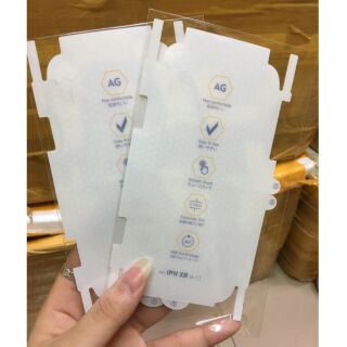 Miếng dán PPF full viền chống vân tay AG cho iPhone Xr/ 11 (6.1) (mặt sau)
