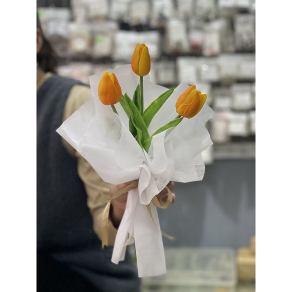 HOA TUY LIP BÓ HÀN QUỐC