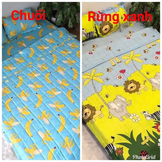 Bộ chăn ga hè 5 món cotton poly