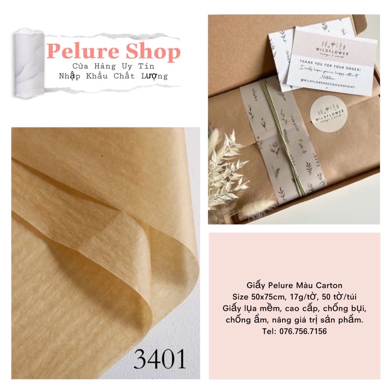 Giấy Pelure Màu Carton size 50*75cm  3401