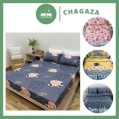 Ga Trải Giường Poly Cotton M6/M8 Nhiều Mẫu Tùy Chọn Có kèm 2 vỏ gối (Khách chọn mẫu để lại ghi chú or chát vs shop nhé) | BigBuy360 - bigbuy360.vn