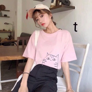 Áo thun mèo mặt ngu combo