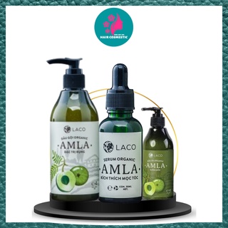 Dầu gội ngăn rụng tóc, dầu xả, serum kích thích mọc tóc amla