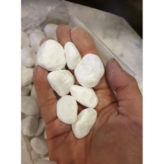 COMBO 1kg sỏi trắng loại seri nhỡ 4cm