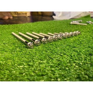 Ốc salaya các size thông dụng