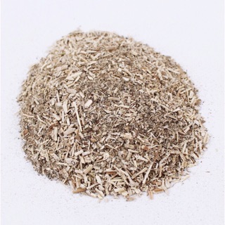 CỎ MÈO BẠC HÀ CATNIP