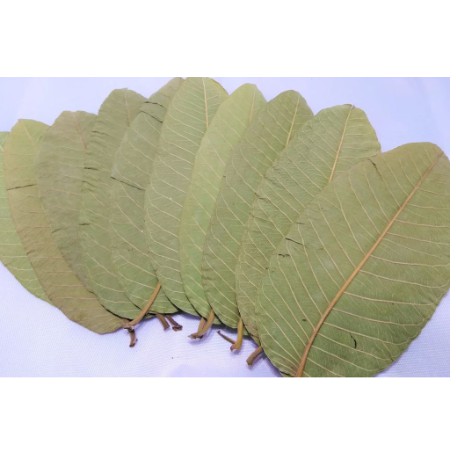 1kg lá ổi khô hàng loại 1