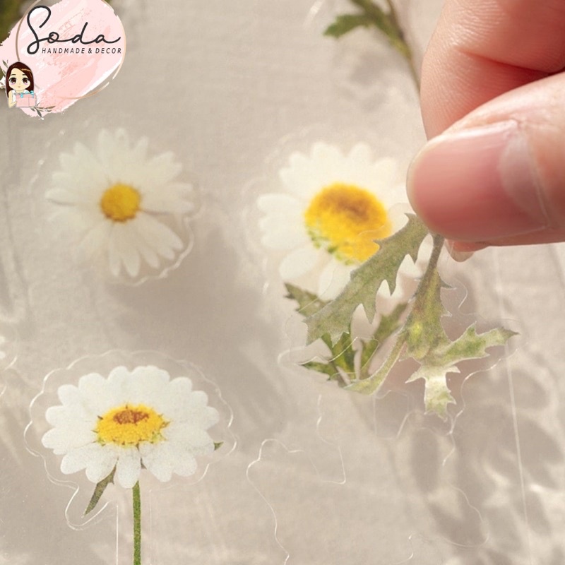 Sticker giả hoa khô trang trí khung trong suốt/Album Handmade