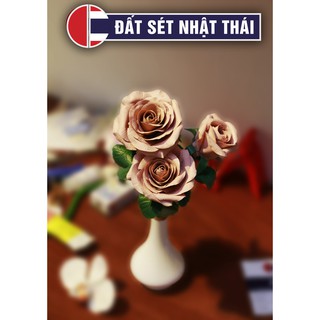 Đất Sét THÁI LAN LOẠI 1 Bán sỉ Kilogram (CÂN KÝ 2 CỤC)