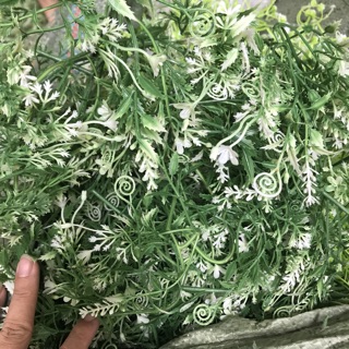 1 ký cỏ điểm hoa kèm nhựa