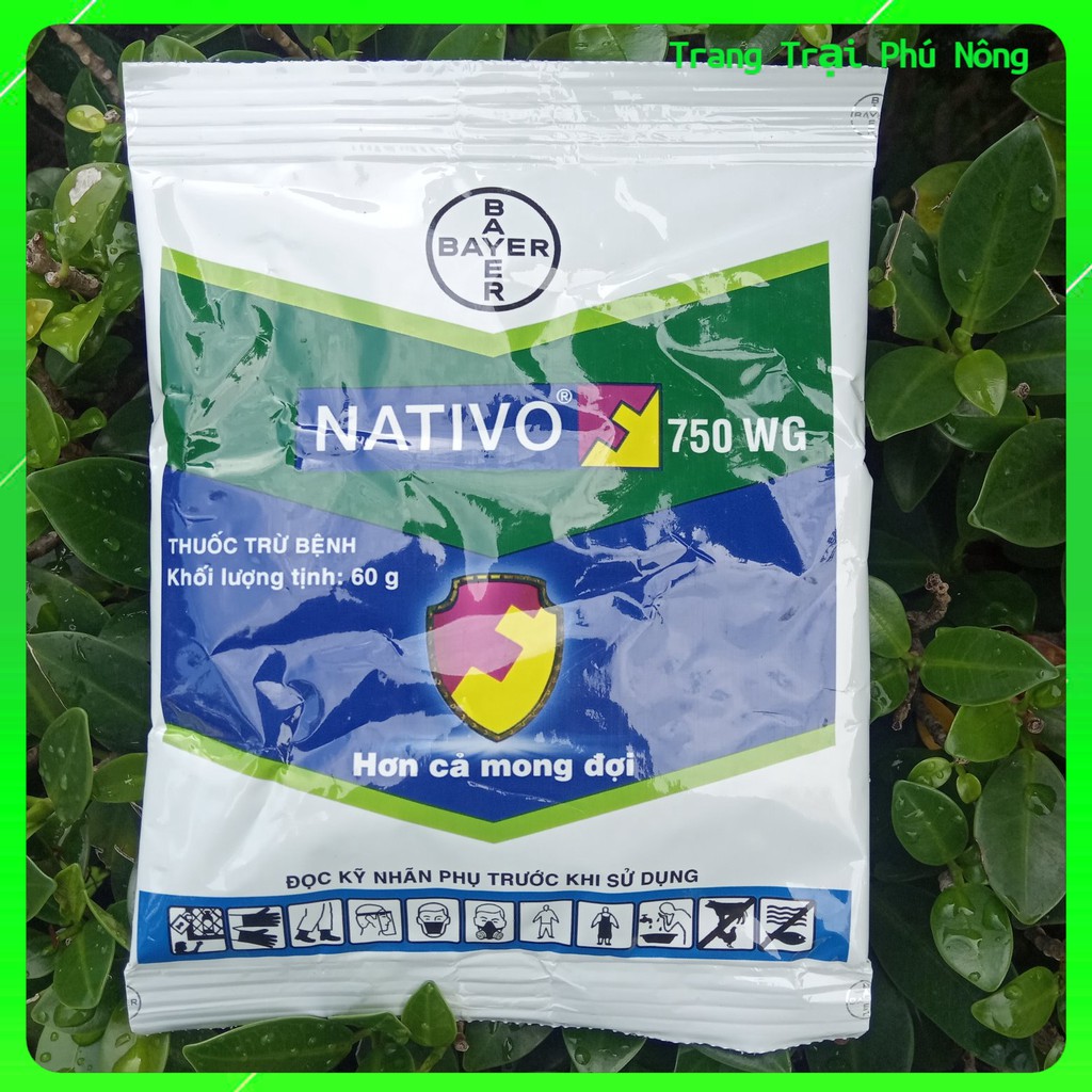 Thuốc Trừ Bệnh Cây Trồng NATIVO 750WG của Bayer- Gói 60g