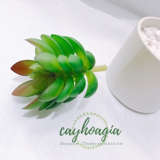 Cây giả - Sen Đá SiIIcol SP001127
