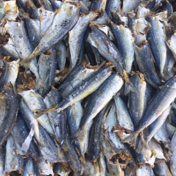 Khô cá nục ngon, cá nục 1 nắng thơm ngon, thịt mềm ngọt, cá béo núc ních chế biến món gì cũng ngon