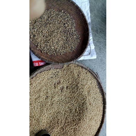Đậu nành hữu cơ thuần chủng 500gr