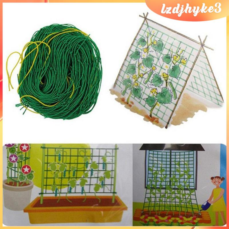 Lưới Trồng Cây Dây Leo Bằng Nylon lzdjhyke3