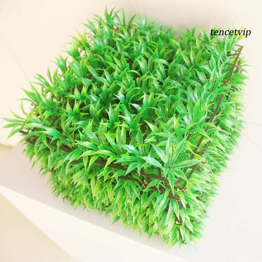 Cỏ Nhân Tạo Trang Trí Bể Cá