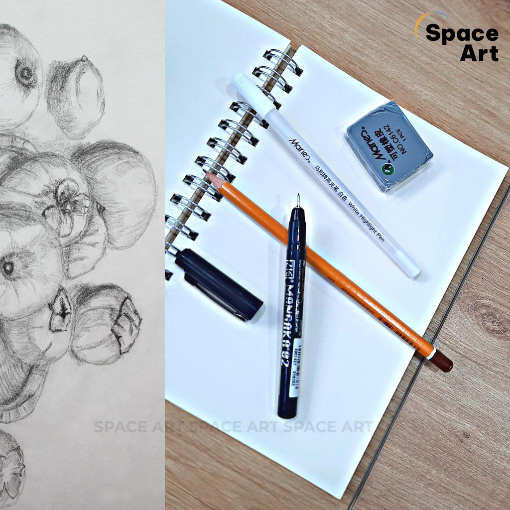 Combo Sketch Phác Thảo Sổ ZenArt 160gsm Cơ Bản Dành Cho Người Tập Vẽ