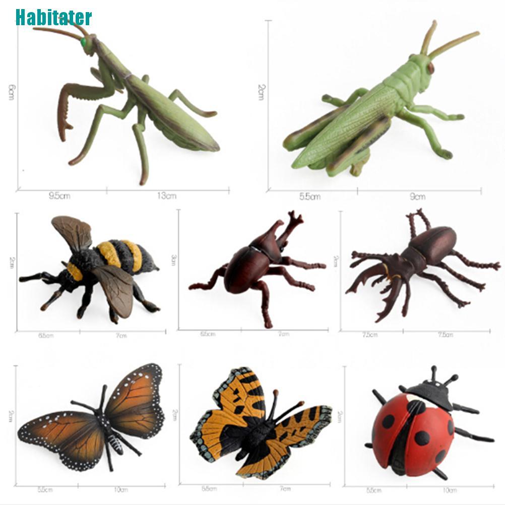 [Habitater] Mô Hình Côn Trùng / Bọ Cánh Cứng / Nhện / Ong Mật