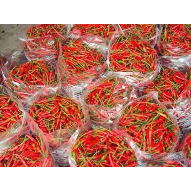 Tương ớt siêu cay thơm ngon 500ml nguyên chất cho người sành ăn