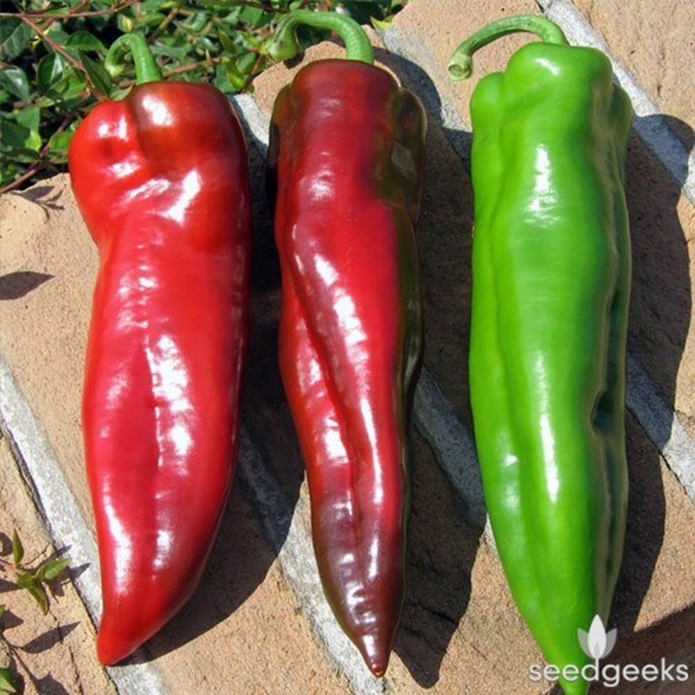 Hạt giống ớt sừng bò ngọt . 1 gr/gói